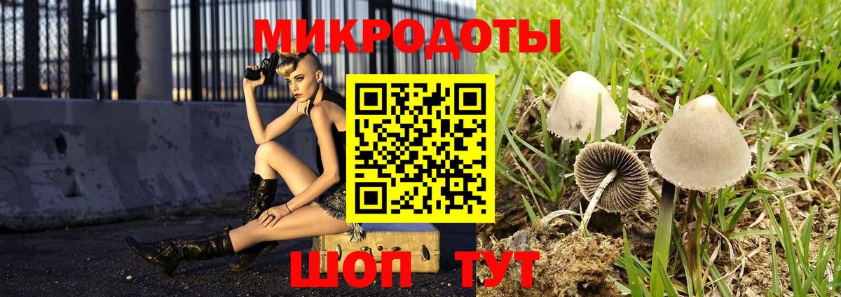 Галлюциногенные грибы мицелий Дедовск